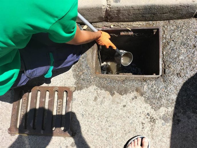 Actuación contra los mosquitos con virus del Nilo en el municipio de Guillena, en Sevilla.