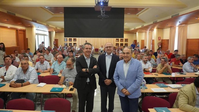 Jornadas sobre eficiencia del agua en el olivar