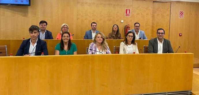 Miembros del Partido Popular en la Dipuatción de Sevilla.