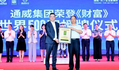 Comunicados Internacional