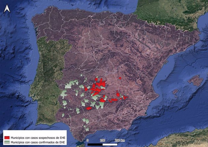 La Enfermedad Hemorrágica Epizoótica se extiende y afecta ya a municipios de Andalucía, Extremadura y Castilla-La Mancha
