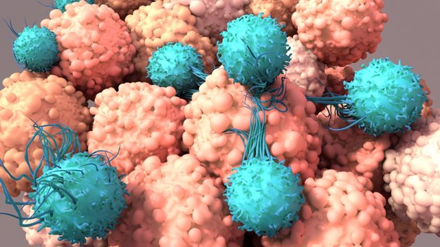 Archivo - Las células T trabajan para combatir el cáncer, la inmunoterapia, la terapia con células T car.