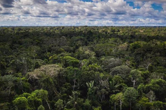 Perú.- BID anuncia convocatoria para emprendimientos en biodiversidad amazónica