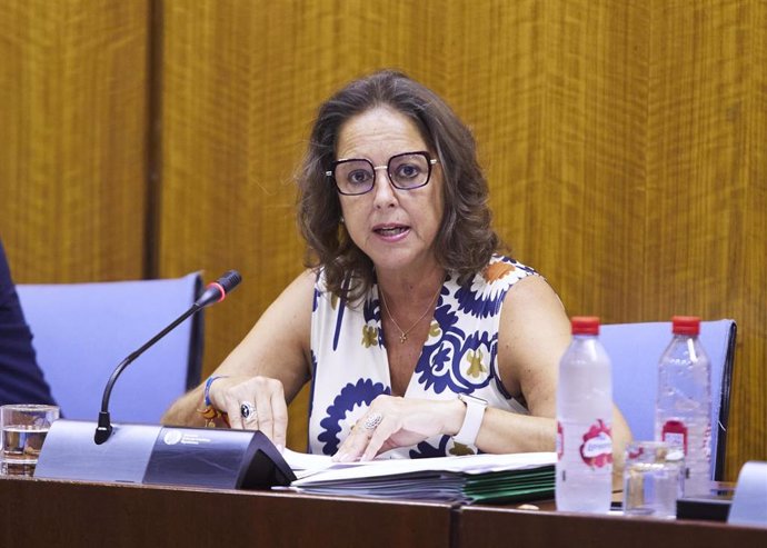 La consejera de Salud y Consumo, Catalina García, en comisión parlamentaria en una foto de archivo.