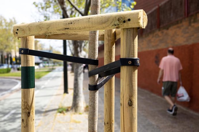 El Distrito de Torrero de Zaragoza contará antes de fin de año con hasta 140 nuevos árboles.