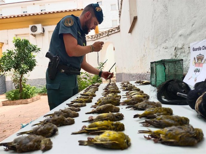 La Guardia Civil investiga a un vecino de Santiponce, en Sevilla, por matar a aves con medios prohibidos.