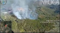 Desplegados cuatro medios aéreos para combatir un incendio forestal declarado en Cortelazor (Huelva)