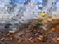 Junta recomienda a vecinos de Lucena (Huelva) que no salgan de sus casas y habilita un segundo espacio para desalojados