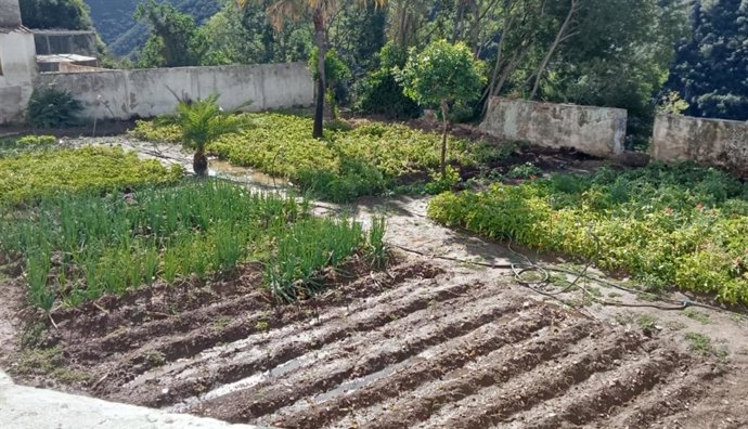 Vista del huerto en el que trabajan los residentes de la Comunidad 'Rescatados de María'.