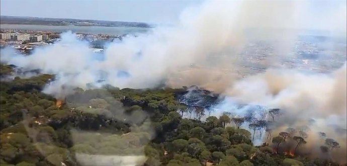 Declarado un incendio forestal en Puerto Real que obliga a cortar la AP-4 en el kilómetro 104
