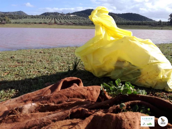 Archivo - Basura. Residuos. Basuraleza. Ecoembes. SEO/Birdlife. Proyecto LIBERA