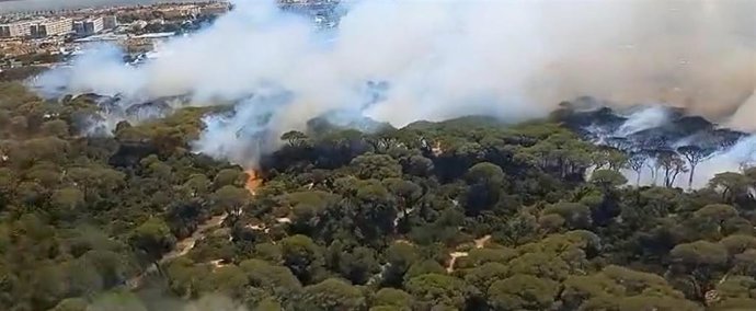 Incendio en Puerto Real, Cádiz.