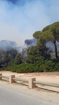 El Consorcio de Bomberos desaloja viviendas de forma preventiva ante el incendio en Puerto Real (Cádiz)