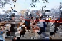 La alcaldesa de Puerto Real: "La imagen del incendio es muy triste. Las Canteras son el pulmón verde del pueblo"