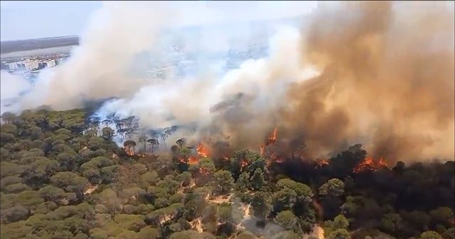 Vecino de Puerto Real ayudan en la extinción del fuego a 06 de agosto del 2023 en Puerto Real (Cádiz, Andalucía). 