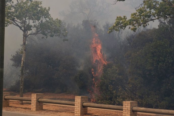 Imágenes del incendio en Puerto Real, a 06 de agosto del 2023 en Puerto Real (Cádiz, Andalucía)