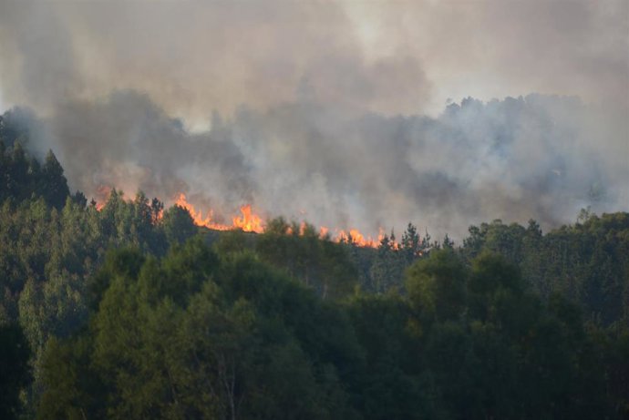 Incendio forestal en la parroquia de Belesar, a 6 de agosto de 2023, en Vilalba, Lugo, Galicia (España). Varios medios de extinción, terrestres y aéreos, fueron movilizados en la noche del domingo 6 de agosto a este lunes 7 por un incendio que ya está c
