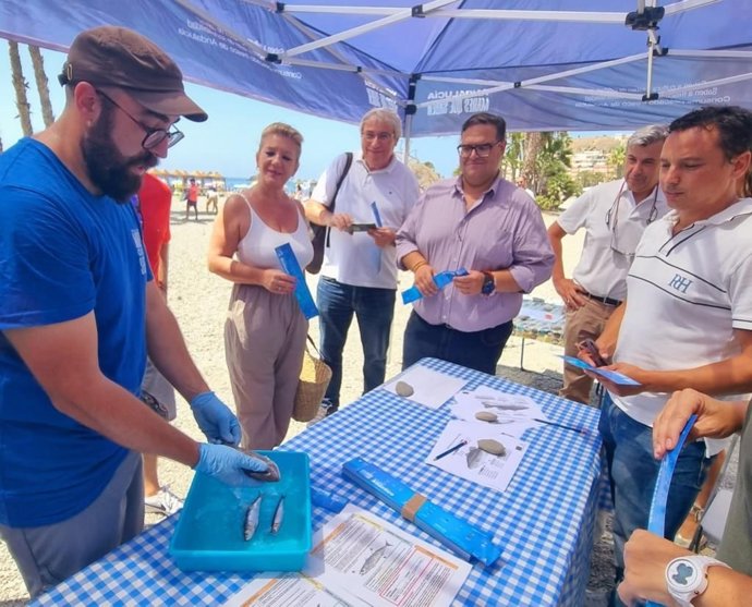 Imagen de una carpa de 'Andalucía, Mares que saben', en una playa andaluza.