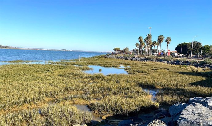 Imagen de las marismas de Huelva.