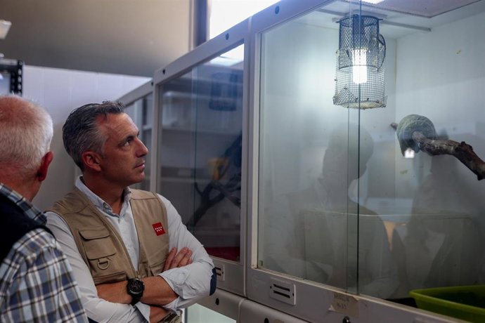 Vídeo de la noticia