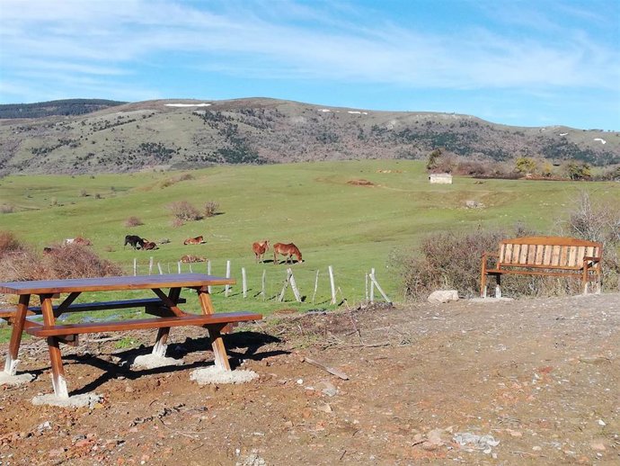 Archivo - Area recrativa en La Costana.- Archivo
