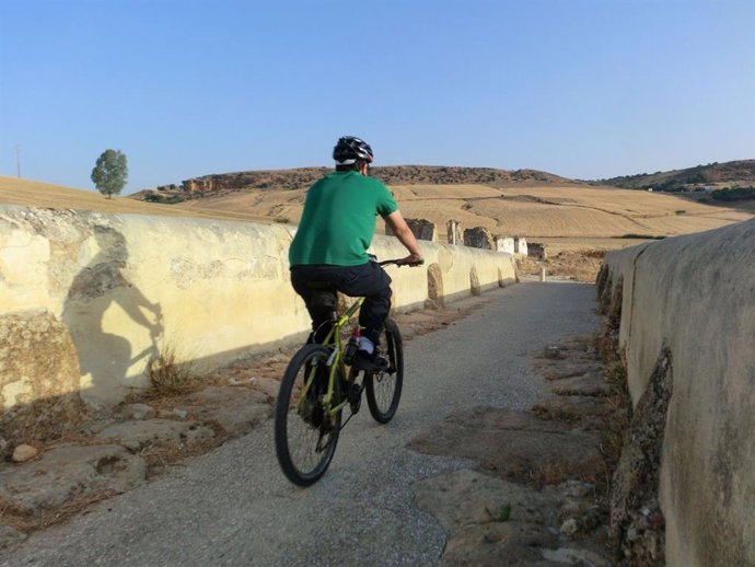 Ciclista por la ruta ciclista de Carmona (Sevilla).