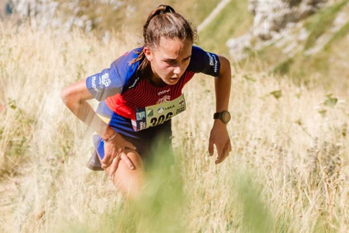 Archivo - Carrodilla Cabestre