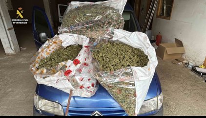 Guardia Civil y Policía Local frustran un vuelco de marihuana en la localidad riojana de Santo Domingo de La Calzada