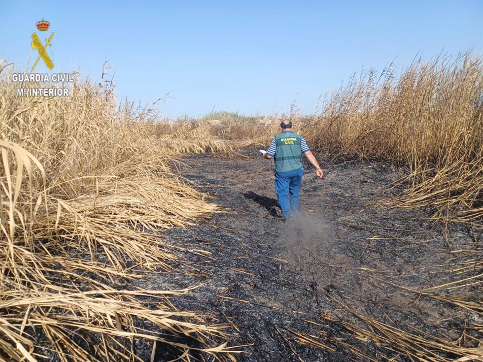 Uno de los agentes investigando la zona incendiada