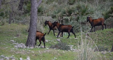 Islas Baleares