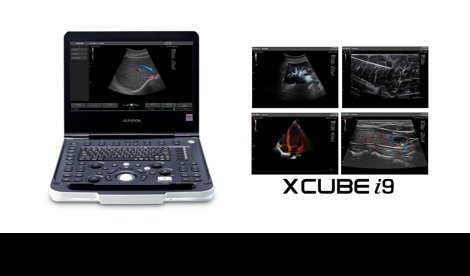 Comunicados Internacional