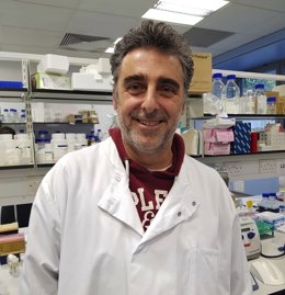 Archivo - Hallan una nueva clave para entender el mecanismo de resistencia a los antibióticos que desarrollan las bacterias