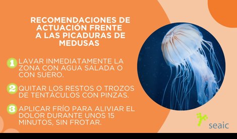 Asistencia