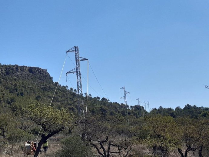 Archivo - Endesa reforma una línia elctrica a les Terres de l'Ebre (Tarragona) per millorar el servei