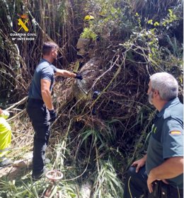 Vehículo atrapado en la maleza tras precipitarse unos 30 metros por un barranco en Purchena (Almería).