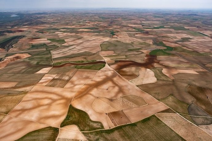 La orografía del terreno evacúa el agua de lluvia por la zona escurecida y, cuando no hay agua, deja marca del cauce que provoca. Consuegra (Toledo).