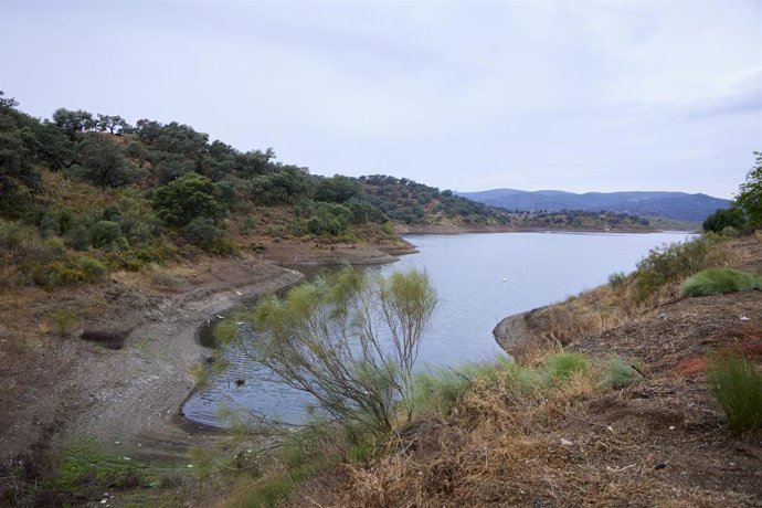 Archivo - Detalle del embalse de la Minillas, en el Ronquillo, tras las lluvias caídas en estos días, a 22 de mayo de 2023 en Sevilla (Andalucía, España). Tras las lluvias de estos días atrás en la provincia de Sevilla, los embalses y pantanos se han ll