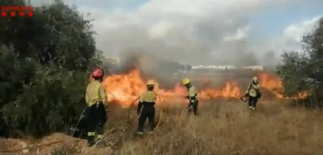 Els Bombers de la Generalitat han extingit un incendi que ha cremat dues hectàrees a Constantí (Tarragona).