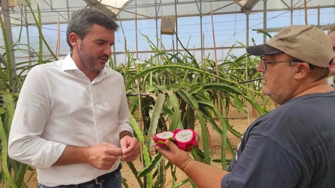 Visita del consejero en funciones de Agua, Agricultura, Ganadería y Pesca, Antonio Luengo, a la finca experimental Torreblanca, en Torre Pacheco