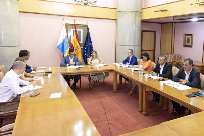 El consejero de Obras Públicas, Vivienda y Movilidad del Gobierno de Canarias, Pablo Rodríguez, y la presidenta del Cabildo de Tenerife, Rosa Dávila, durante la reunión de trabajo