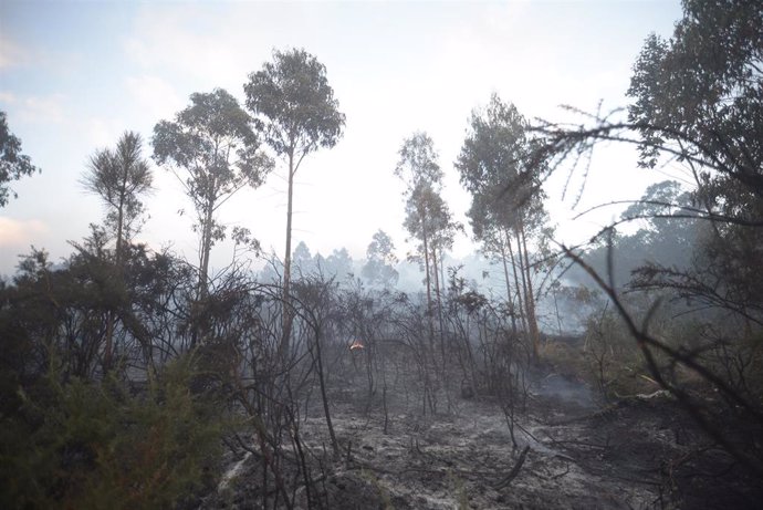 Una zona quemada por el fuego, a 9 de agosto de 2023, en Suevos, Arteixo, A Coruña, Galicia (España). 