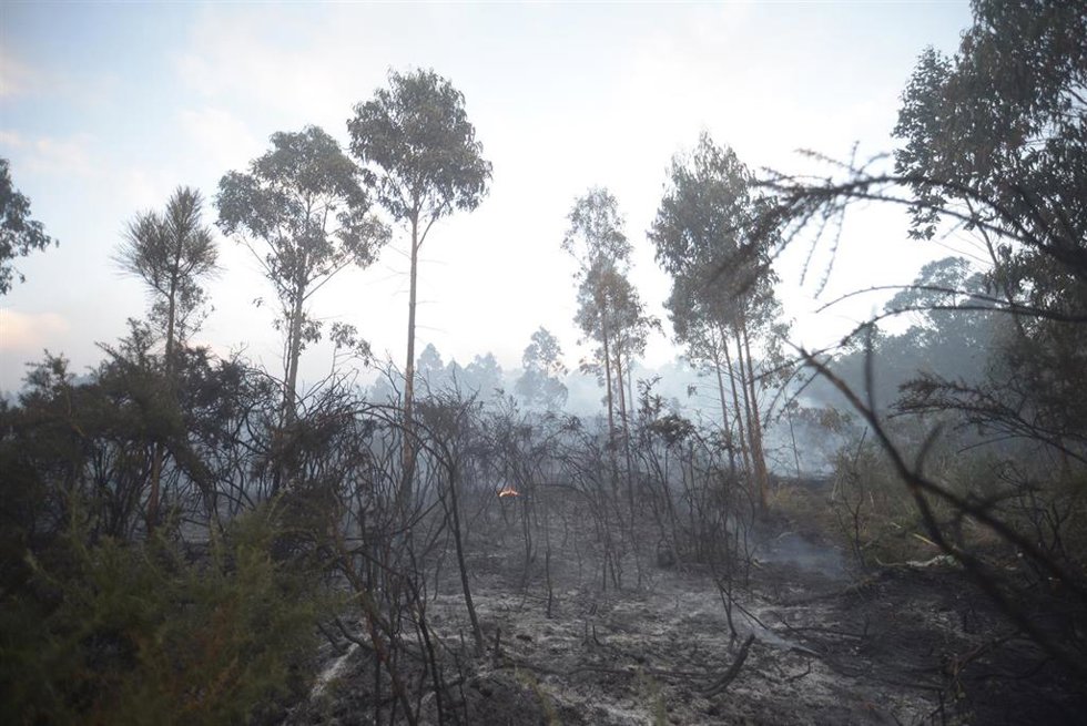 Una zona quemada por el fuego, a 9 de agosto de 2023, en Suevos, Arteixo, A Coruña, Galicia (España).