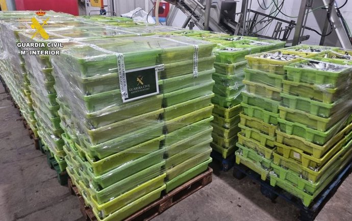 Más de 7 toneladas de sardina capturadas en zona prohibida incautadas por la Guardia Civil en Laxe (A Coruña).