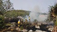 Combaten un incendio agrícola declarado este jueves en Sant Mateu (Ibiza)