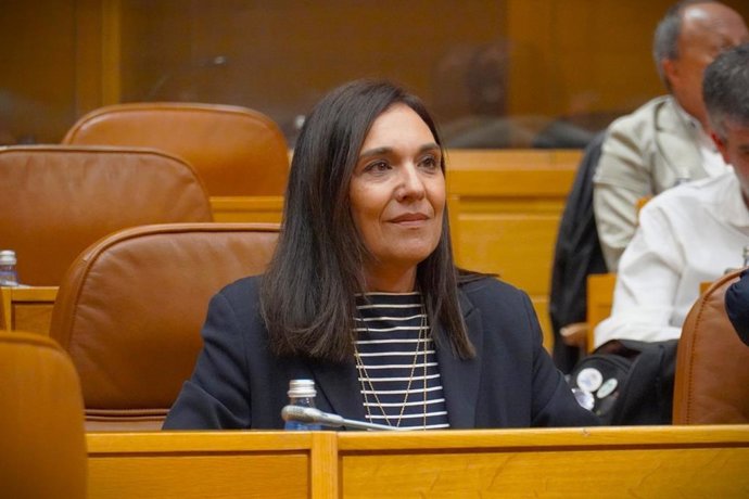 La diputada del PSdeG Carmen Rodríguez Dacosta en el hemiciclo.