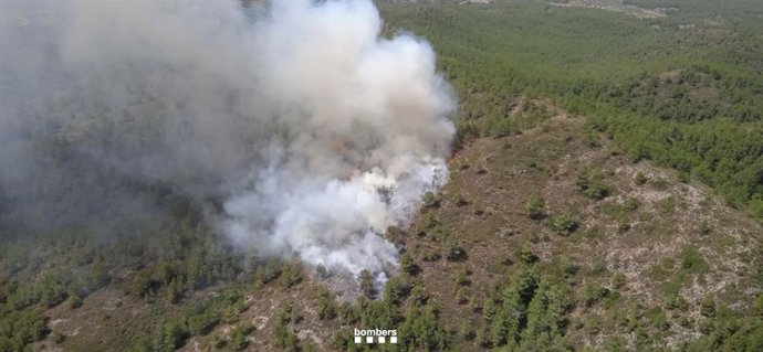 Estabilizado el incendio forestal de Tivissa (Tarragona) 