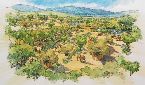 Comunicados Internacional