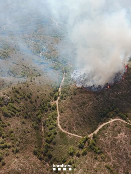 El segon incendi a Tivissa (Tarragona)