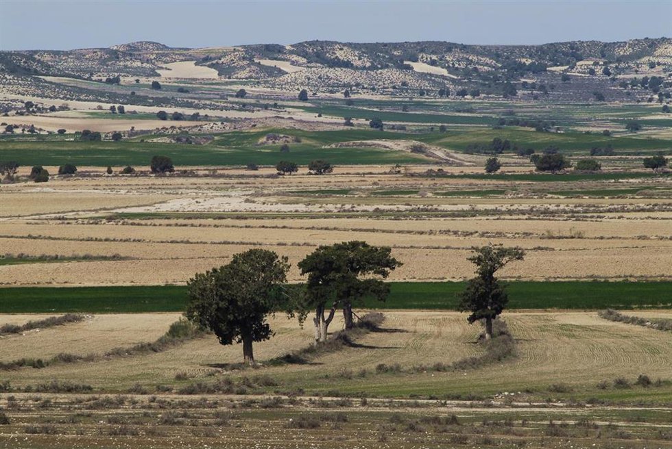 SEO/BirdLife lleva a cabo en Aragón una media de 200 actuaciones para garantizar la conservación de la biodiversidad.