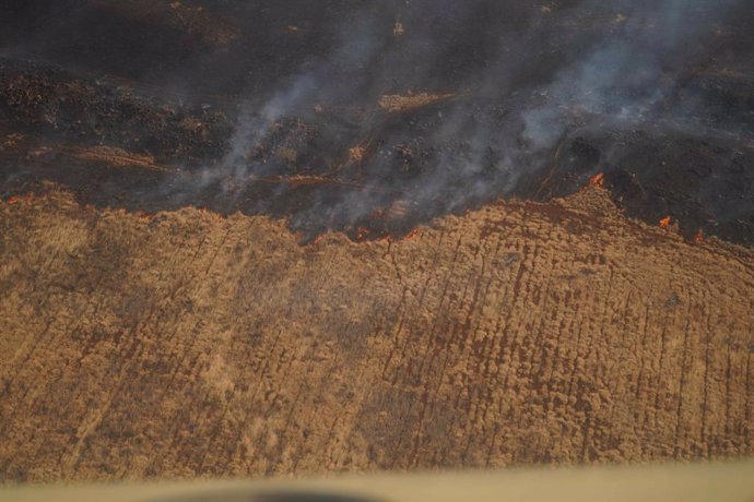 August 9, 2023, Maui, HI, United States: Grassland wildfires burn across a drought stricken field as the blaze, driven by high winds sweeps across the tropical island state, August 9, 2023 on Maui, Hawaii. Wildfires fanned by high winds have killed at l